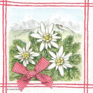 Napkins 1057